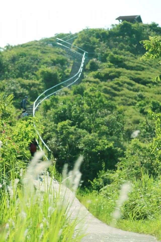 去澳门旅游拼团,去澳门必吃的料理