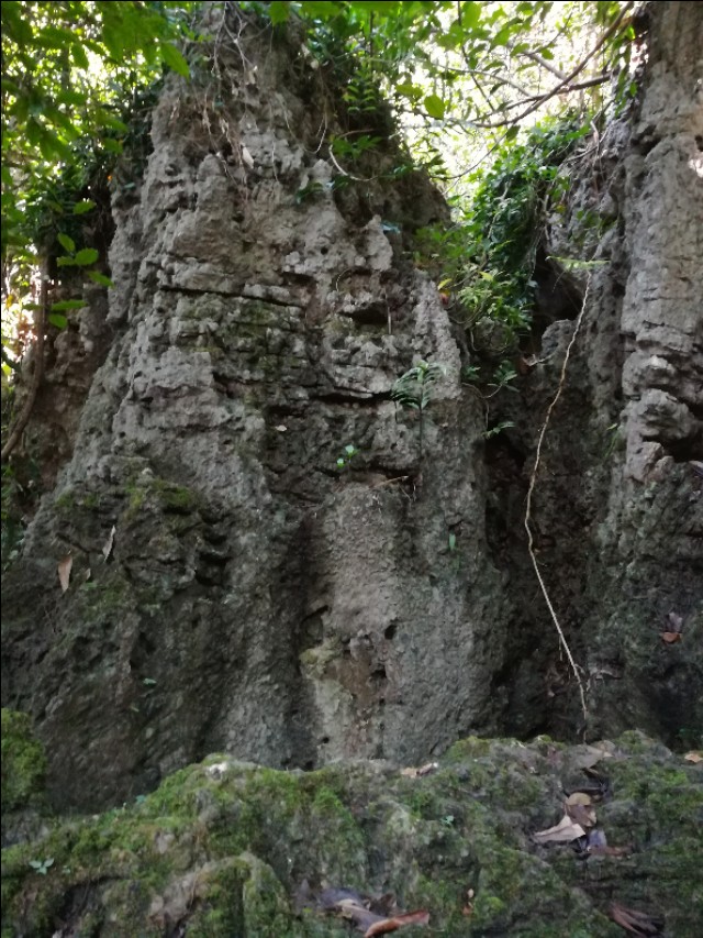 贵州自驾游旅游攻略自由行,贵州环省自驾旅游攻略