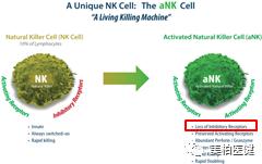非特殊类型T细胞淋巴瘤,非霍奇金型t细胞淋巴瘤
