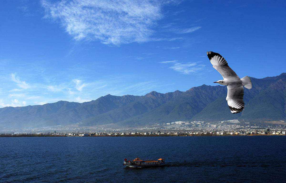 香格里拉自驾游攻略自助游,香格里拉到西藏攻略