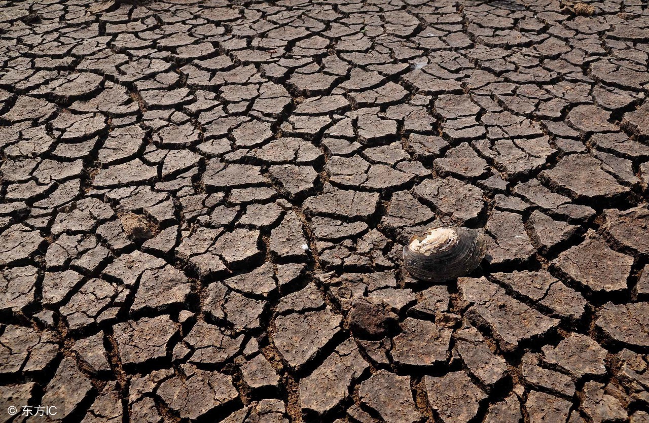 救命知识大全完整版,救命知识大全讲解