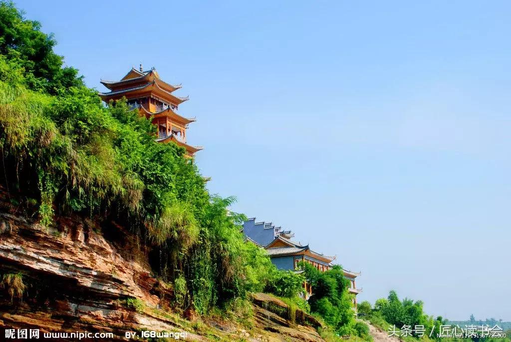 神奇的“生命之根”，长在四川华蓥山