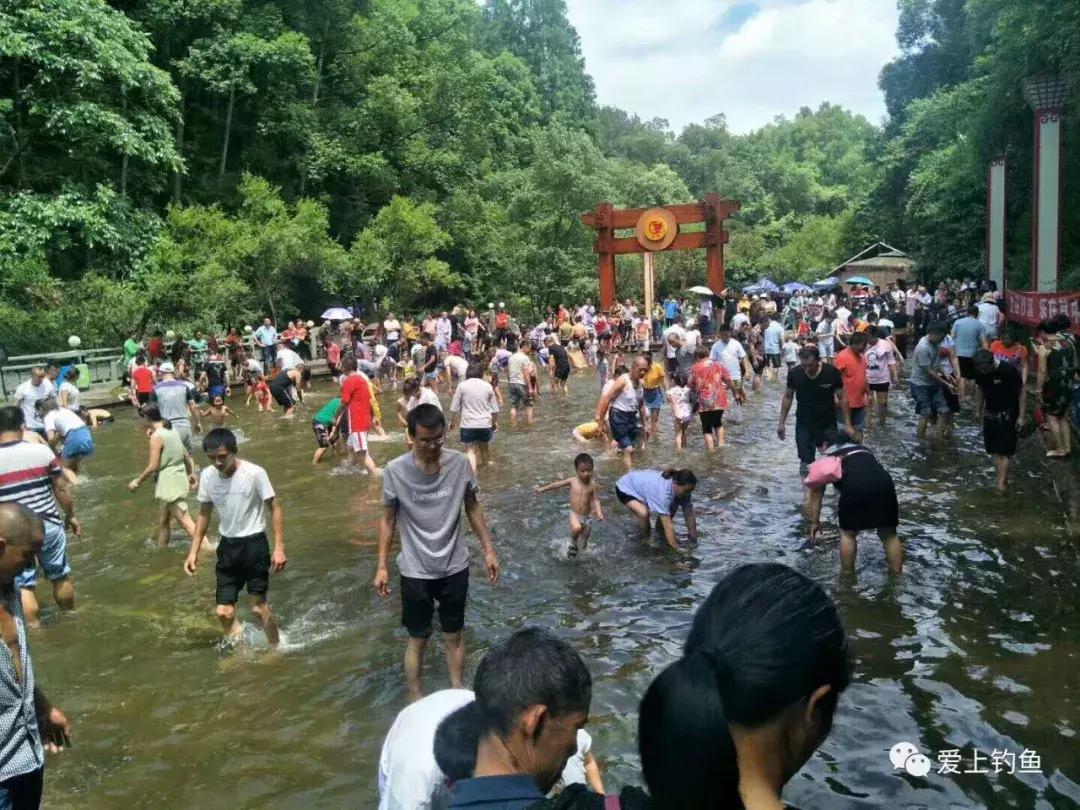 能钓鱼的避暑胜地有哪些,既能钓鱼又能野营的地方