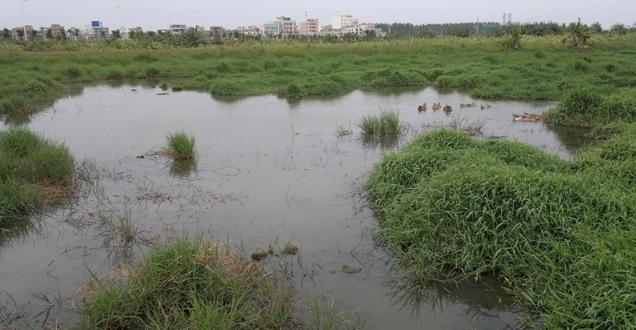 路亚新手入门绑线,新手入坑路亚选2.1米的还是2.4米