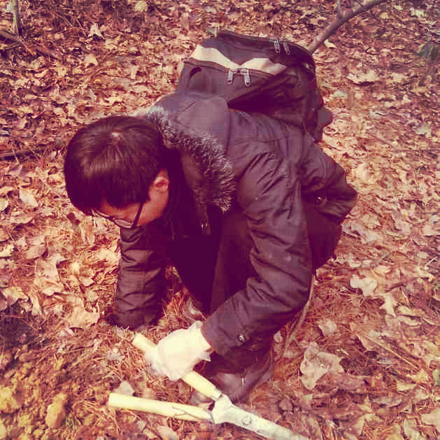 化作春泥更护花的哲理,化作春泥更护花给我们的启示