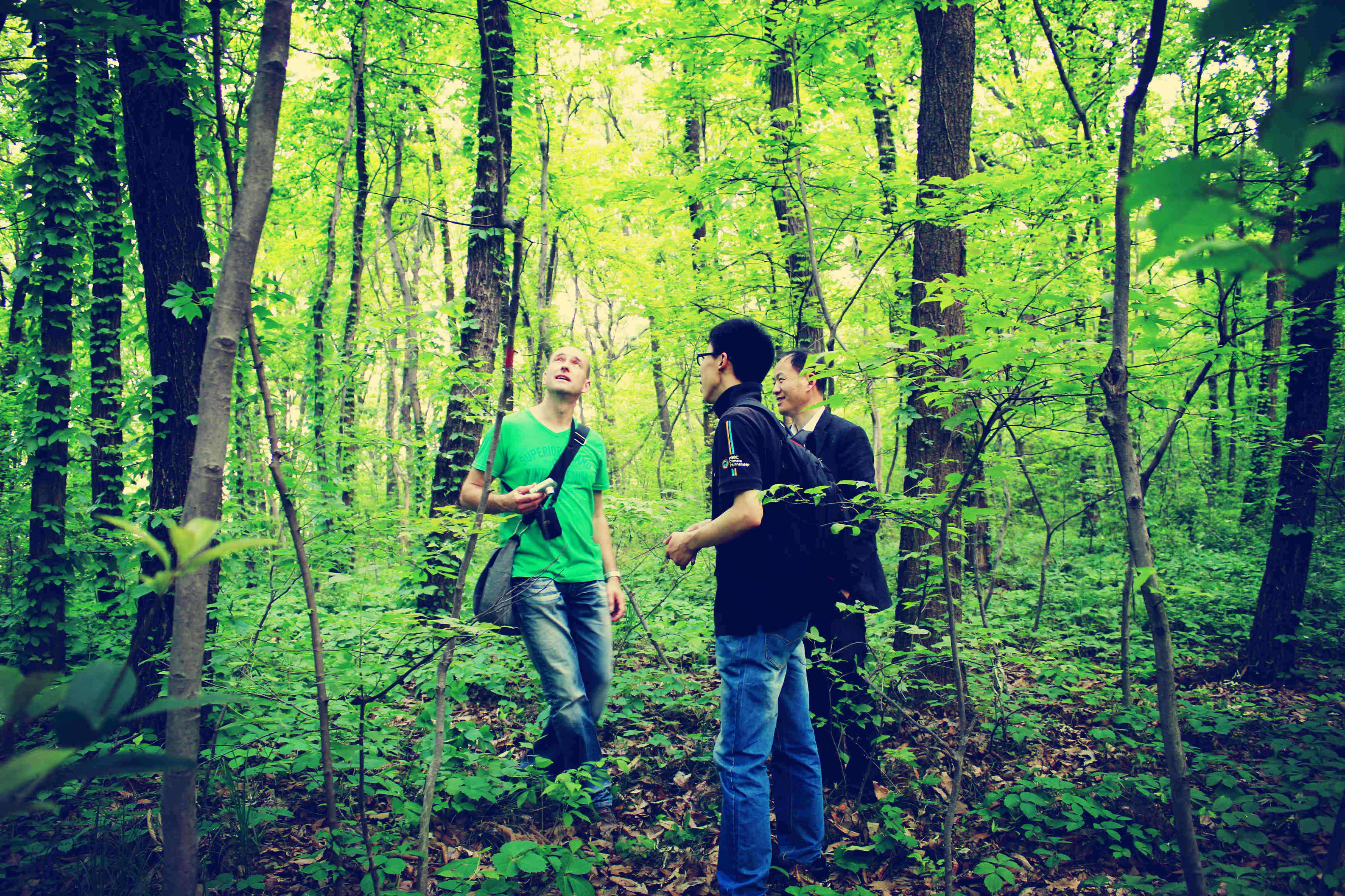 化作春泥更护花的哲理,化作春泥更护花给我们的启示