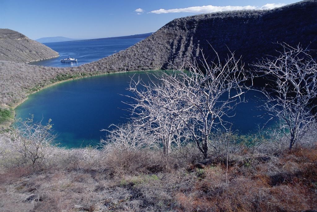 中国公民免签国家名单,全球免签国家排行