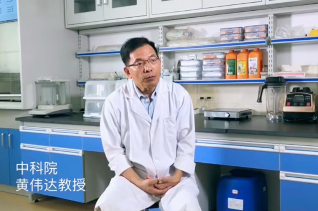 布朗族普洱茶的制作工艺,勐库源头手工制作普洱茶老工艺