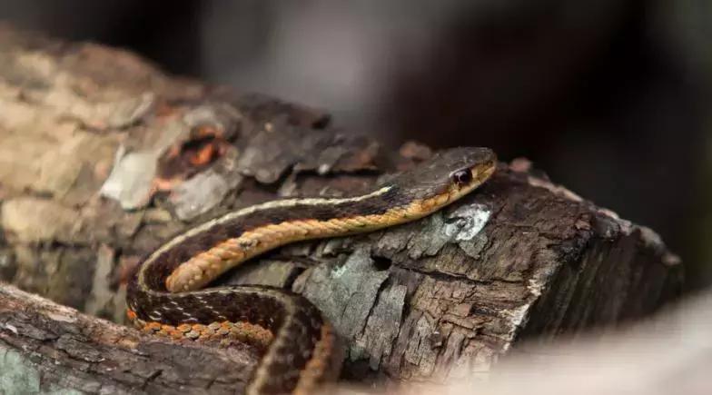 让老百姓都能买得起世界级产品,如何让老百姓买国产产品