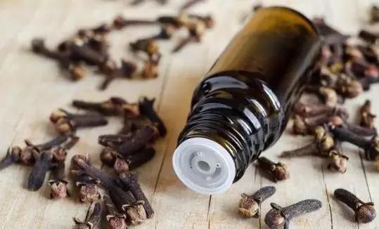 各种香料前期处理,带你了解香料使用的诀窍