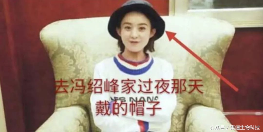 冯绍峰赵丽颖聊天,赵丽颖冯绍峰谈恋爱逛街