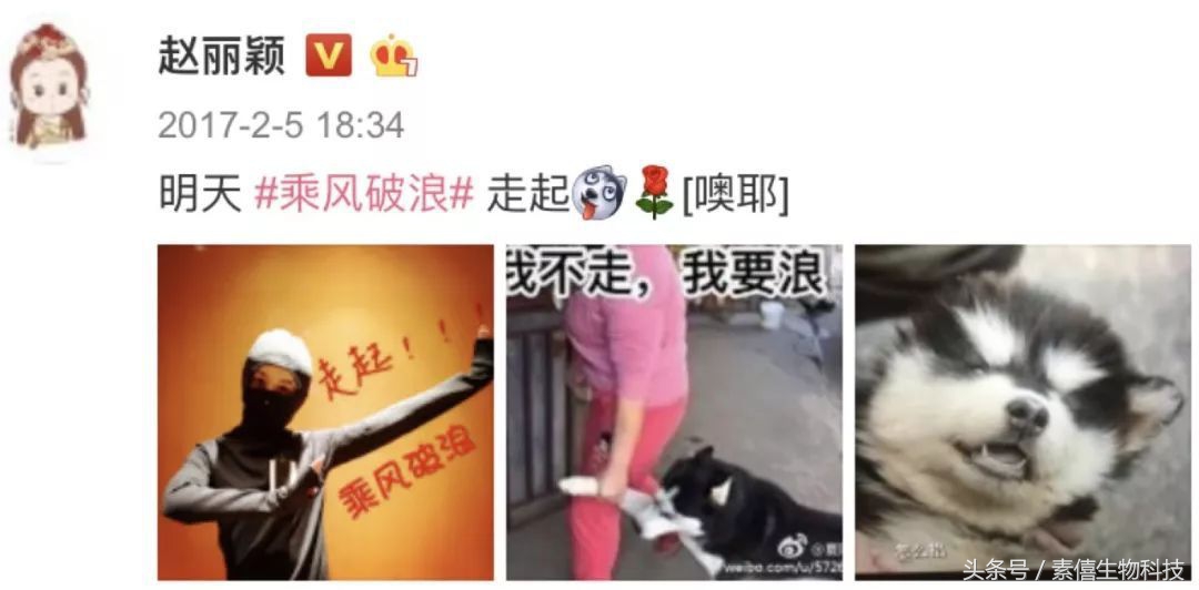 冯绍峰赵丽颖聊天,赵丽颖冯绍峰谈恋爱逛街