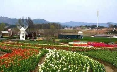 宅基地流转试点名单,宅基地确权2020年补贴