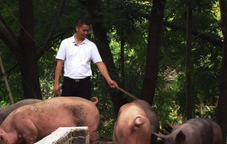 人赚他赔，人赔他赚？这个农业门外汉是怎么做的生意？