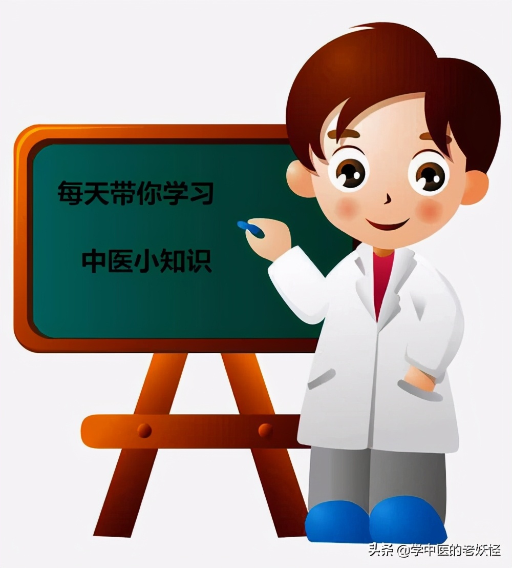 中药野菊花种子,中药野菊花治什么的