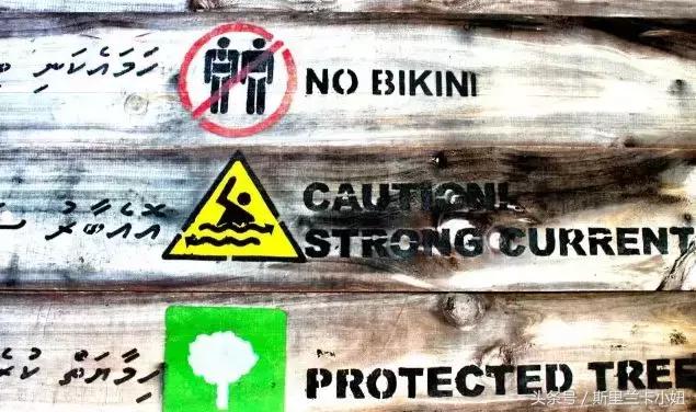 椹皵浠ｅか绂诲鐜囨渶楂樼殑鍥藉,澶╁爞鑳屽悗