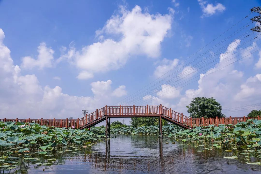 鹤山离广州最近的地方是哪里,鹤山周边游玩的地方推荐