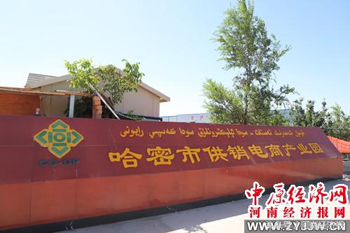 为了哈密瓜更香甜——记河南省供销社援疆干部李军