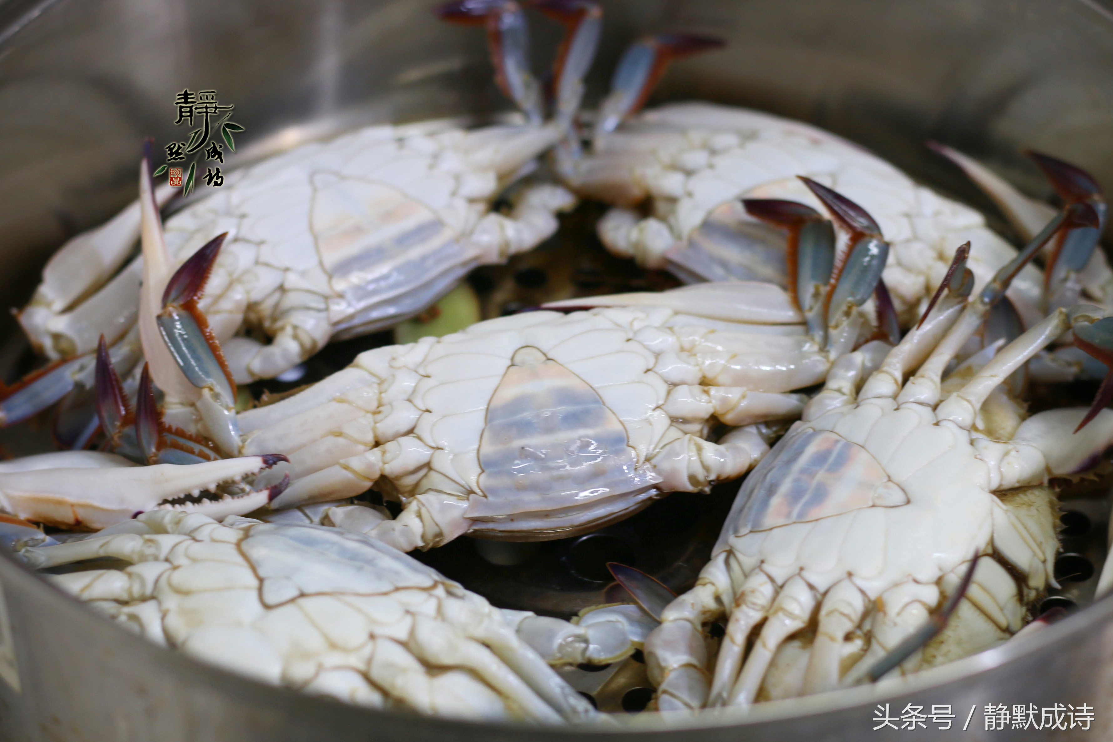 螃蟹要怎么蒸蒸多久,蒸海螃蟹是凉水蒸还是水开了再蒸