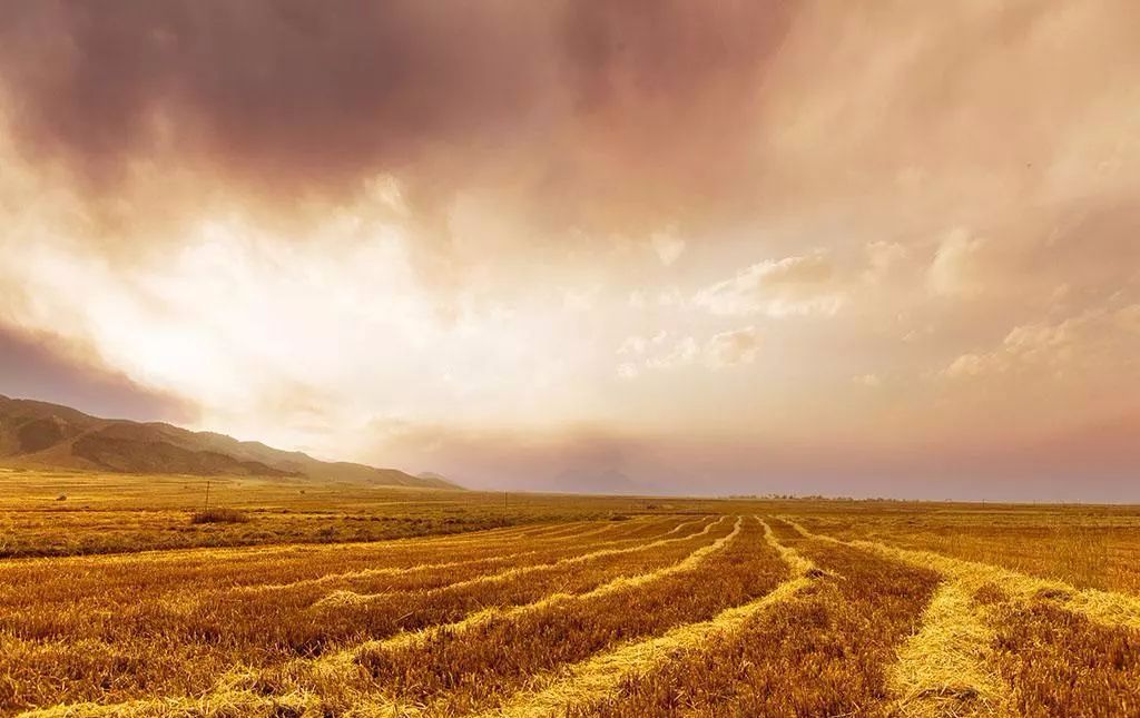 张掖是现在的什么城市,张掖一座被严重低估的城市