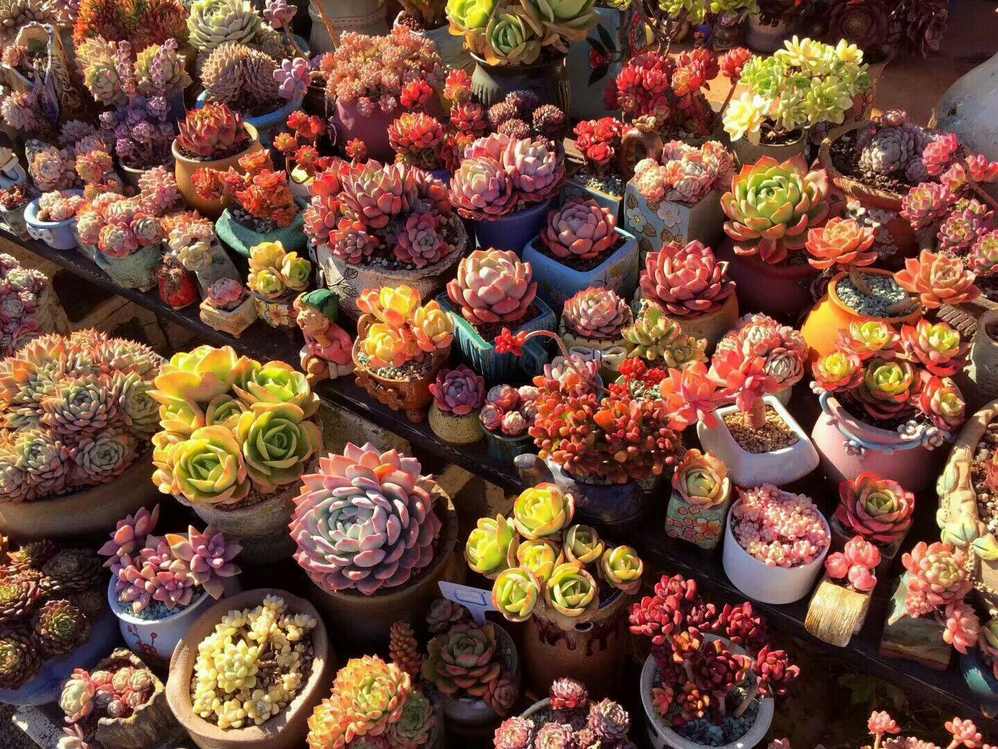 慢生活阅读视频,慢生活阅读