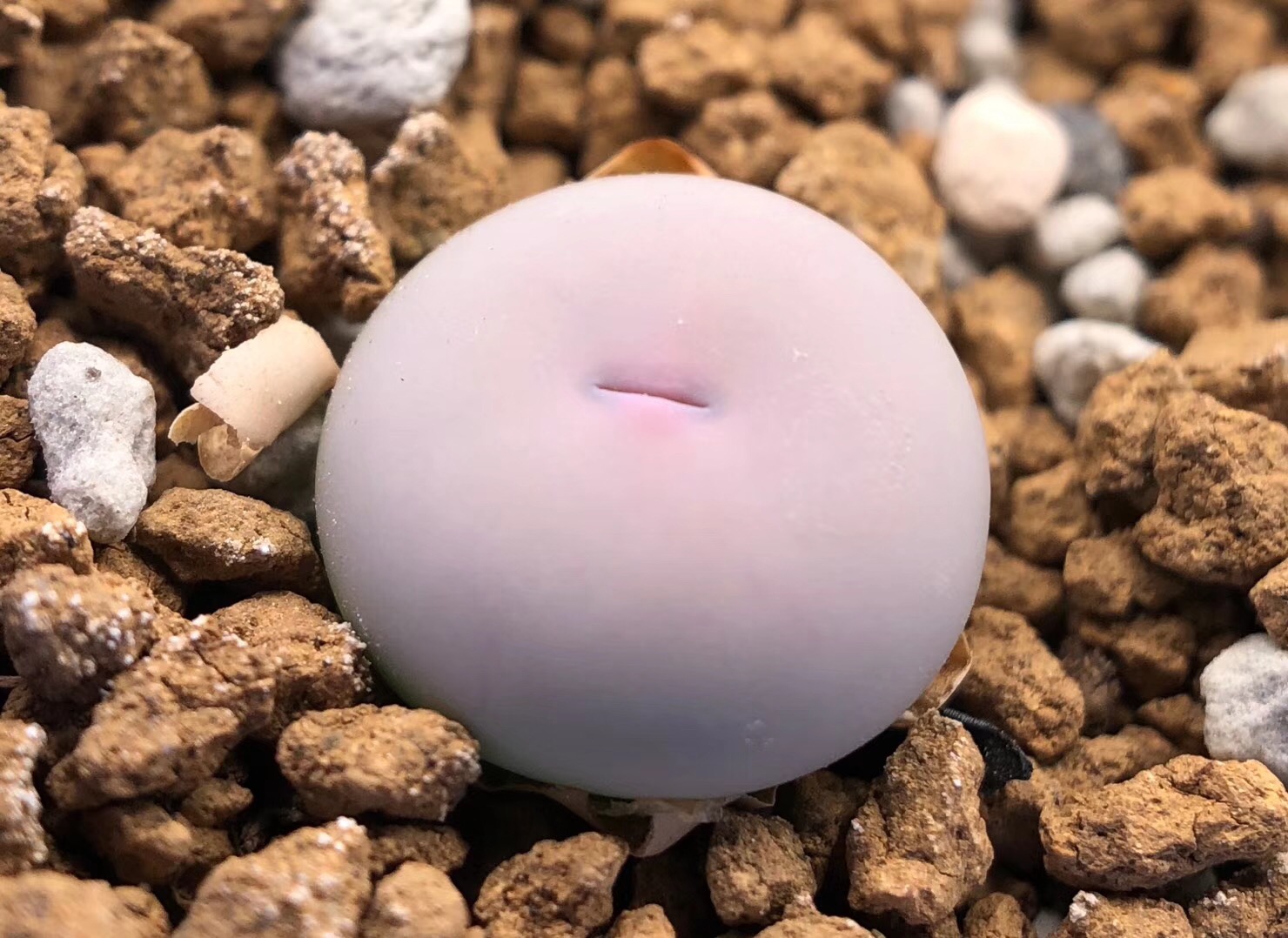 慢生活阅读视频,慢生活阅读