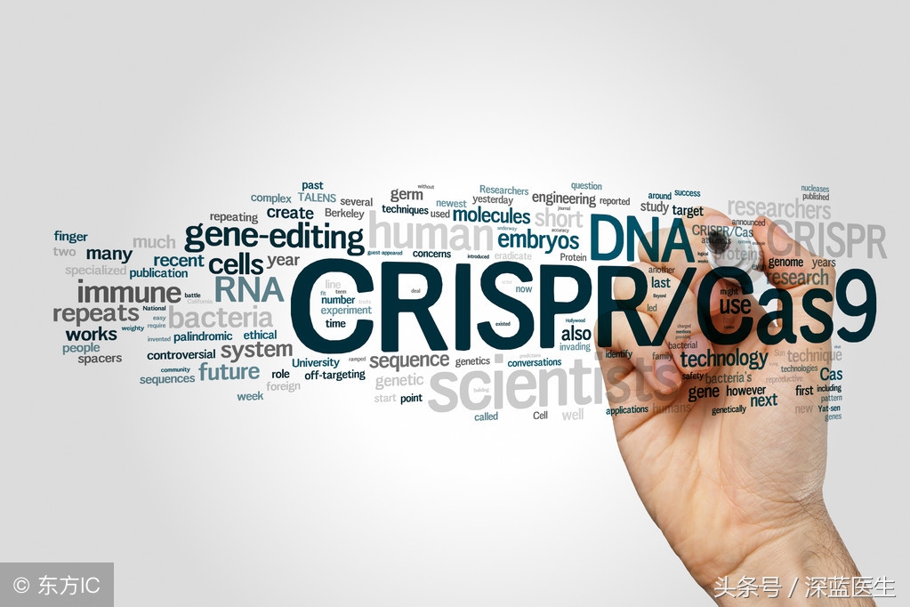 抗肿瘤靶向药排行榜,抗肿瘤药物中的靶向治疗用药分类