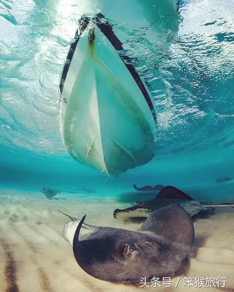 发现了长得像图卢姆的准网红小镇，人均500住进加勒比海景别墅