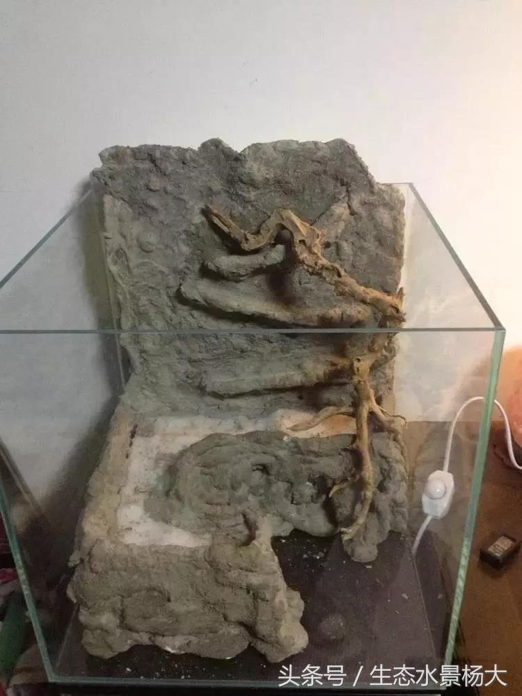 自己动手做水陆缸需要多少钱,第一次做缸视频教程