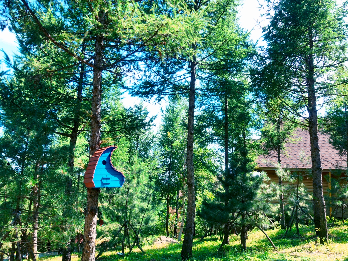 大森林里的小木屋秋雨后美成让人窒息云海小木屋离北京120公里