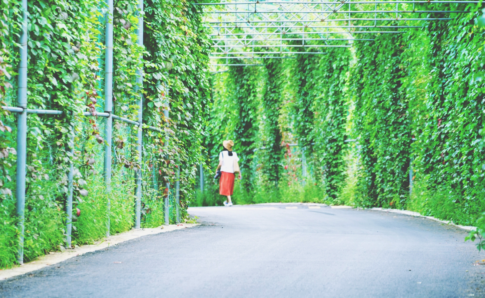 大森林里的小木屋秋雨后美成让人窒息云海小木屋离北京120公里