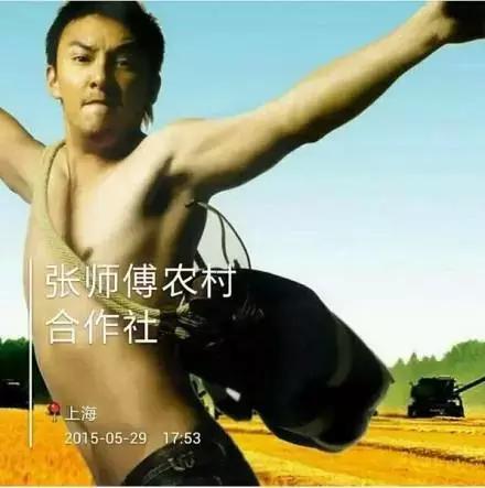 笑到头掉的名场面,笑到头掉的系列