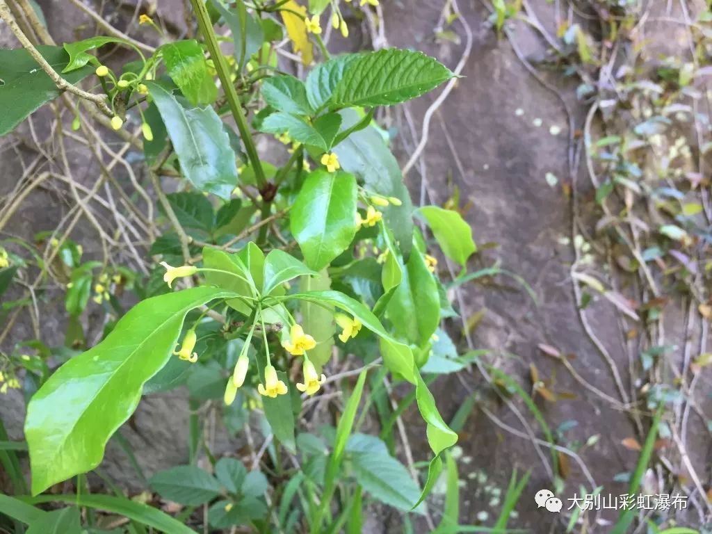 领取夏季福利通知,广大同胞们的夏季福利