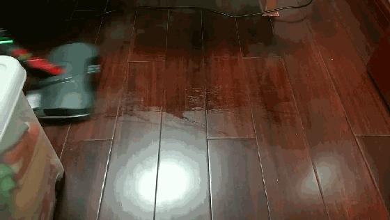 美国eureka,eureka蒸汽清洁机测评