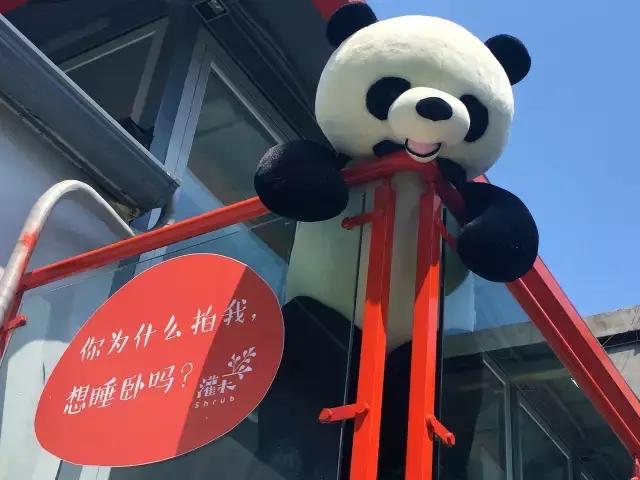 李凤全行走视频,行走798