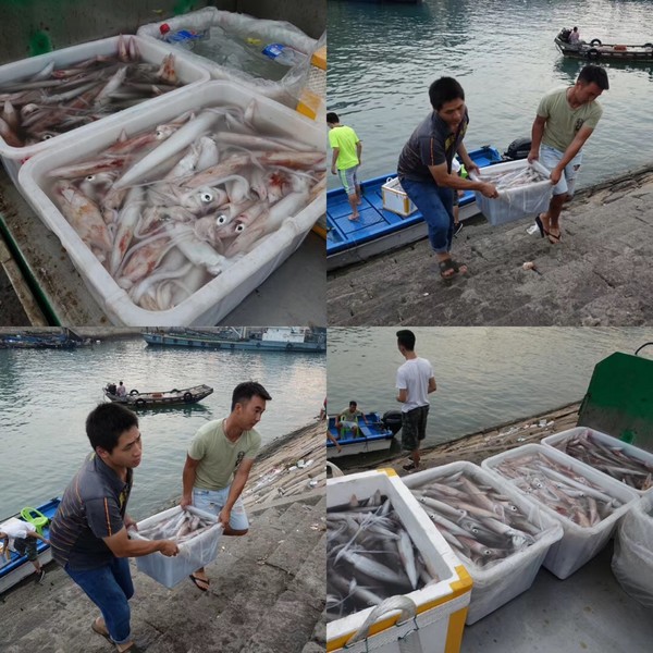 福建东山岛风动石景区视频,漳州东山县风动石景区介绍