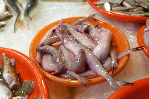 福建东山岛风动石景区视频,漳州东山县风动石景区介绍