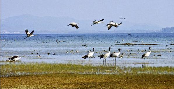 贵州自驾游旅游攻略自由行,贵州环省自驾旅游攻略