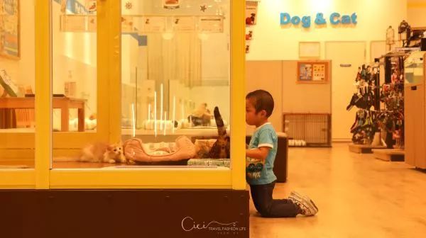 名古屋亲子游好去处,名古屋作为日本的一个小众旅行地