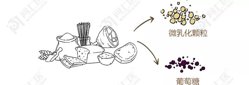 甘油三酯升高的原因动画,医学科普甘油三酯