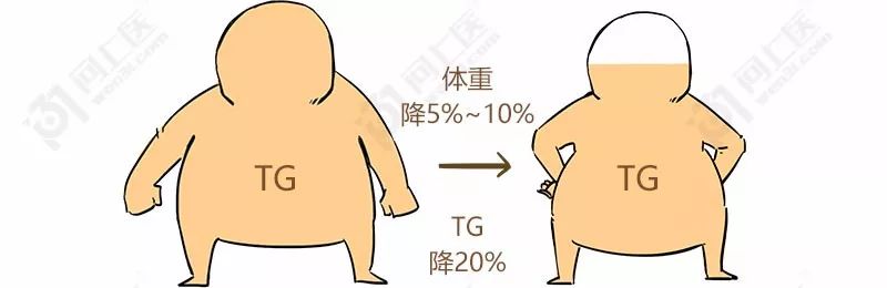 甘油三酯升高的原因动画,医学科普甘油三酯