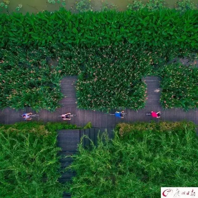 广州有哪些景点适合拍照,广州最美十大风景区在哪里