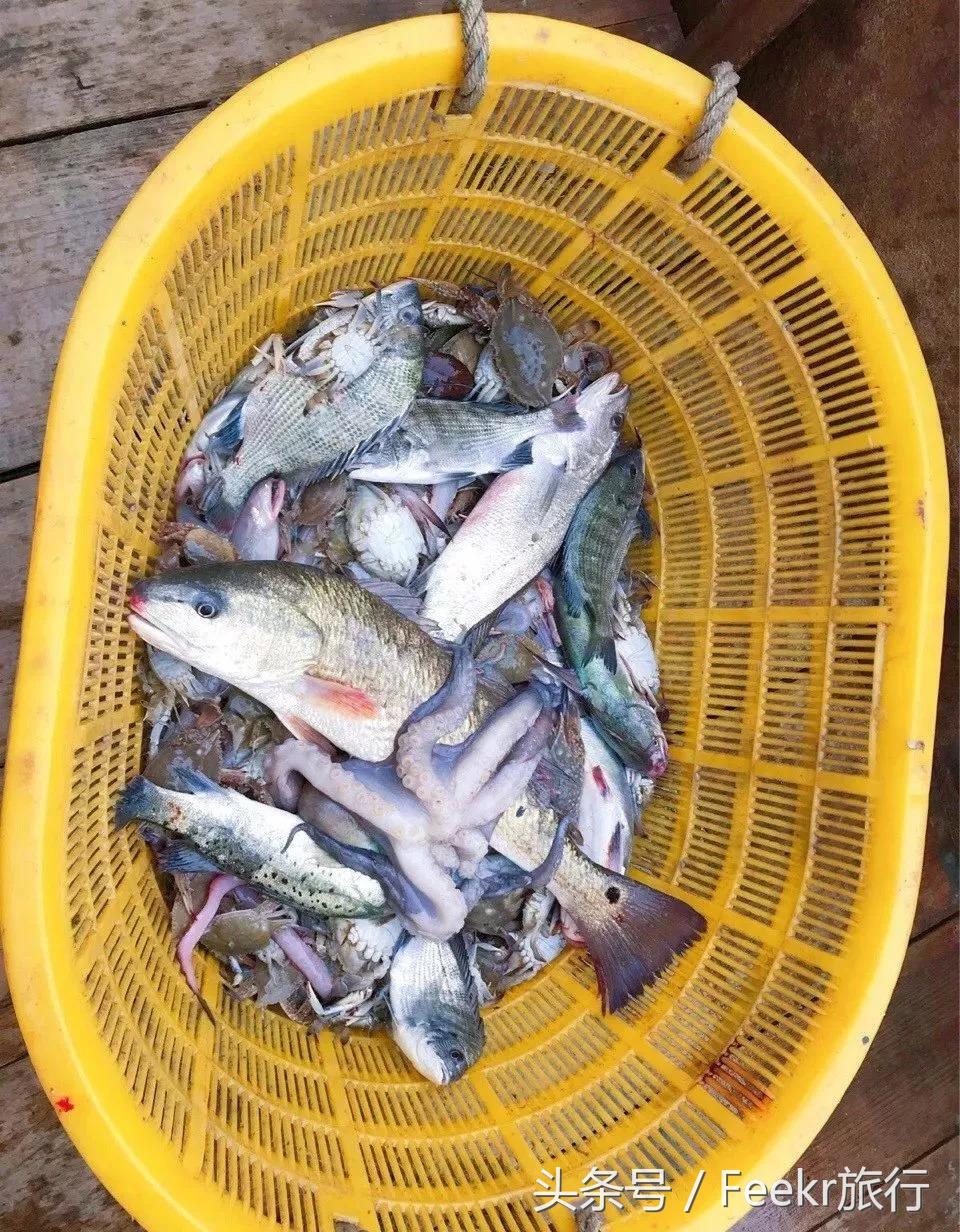 嵛山岛万亩草场,嵛山岛中国十大最美岛屿之一