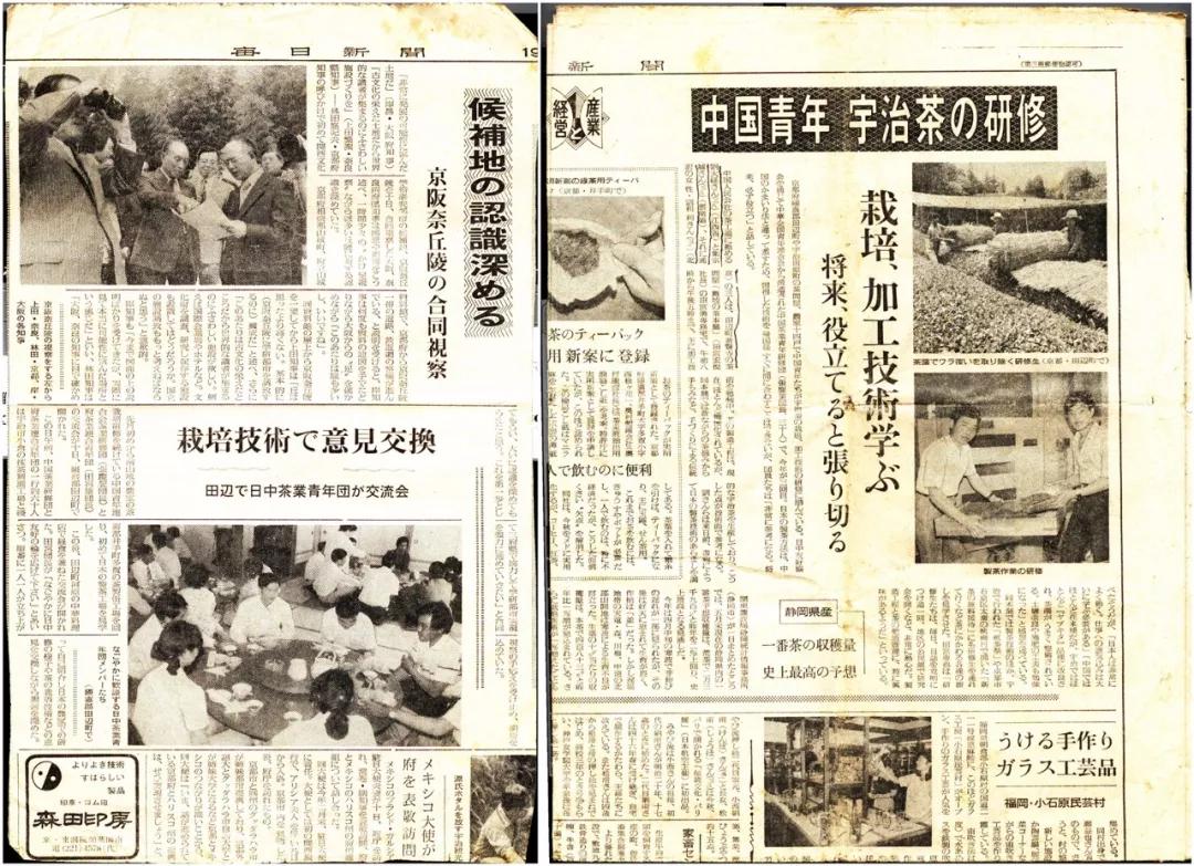 普洱茶传承工艺大师排名,普洱茶大师卫宗成