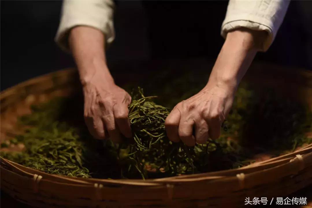 普洱茶大师卫宗成,普洱茶传承工艺大师排名