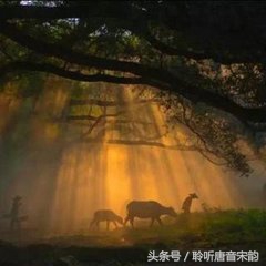 王维山水田园诗十二首，心累的时候，归隐在山水里