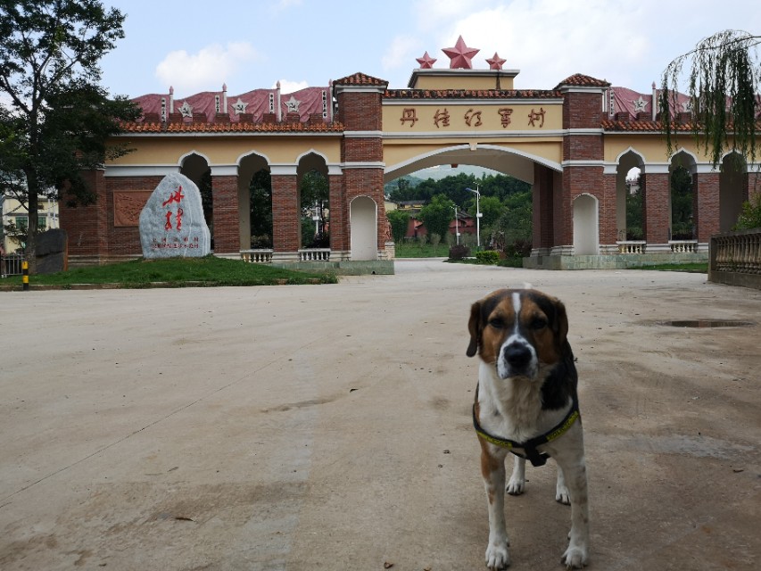 中国行广西之旅,中国行第58天