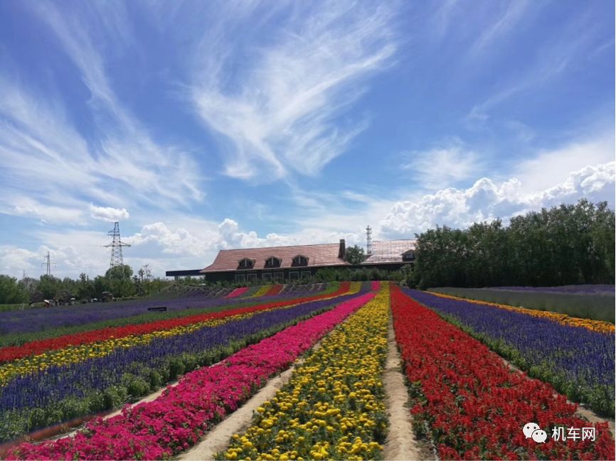 骑自行车穿越罗布泊路线,trk502骑行视频第一视角