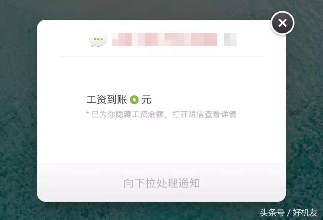 机友的心声,为什么有的人不建议买锤子手机