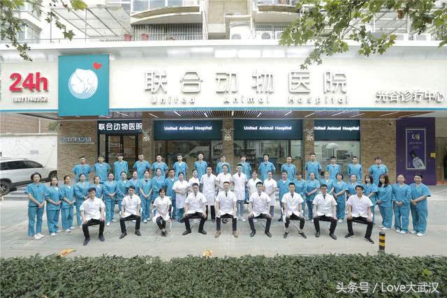 爱宠宠物医院服务中心,爱宠宠物医疗中心